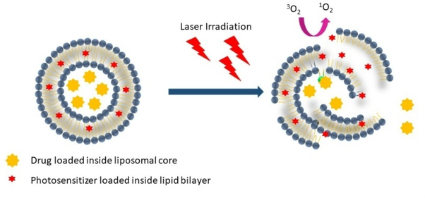 Figure 2: