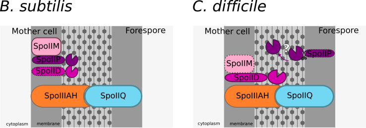 Fig. 3