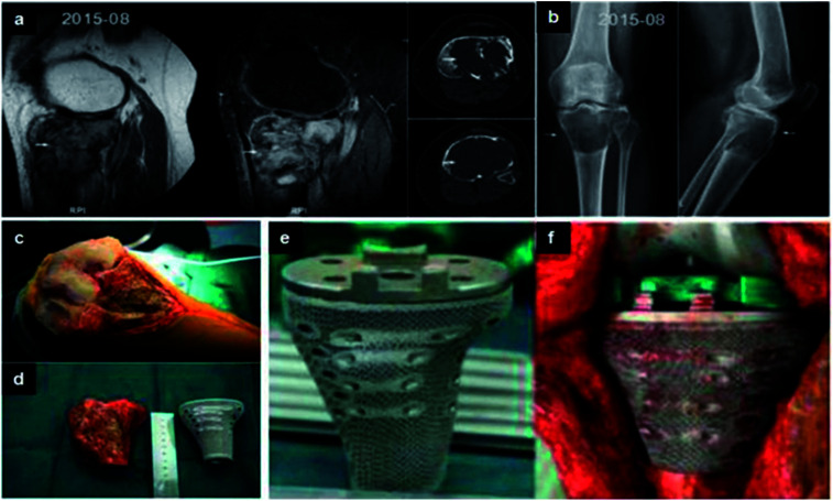 Fig. 8