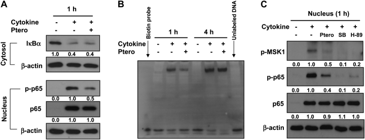 Fig. 5.