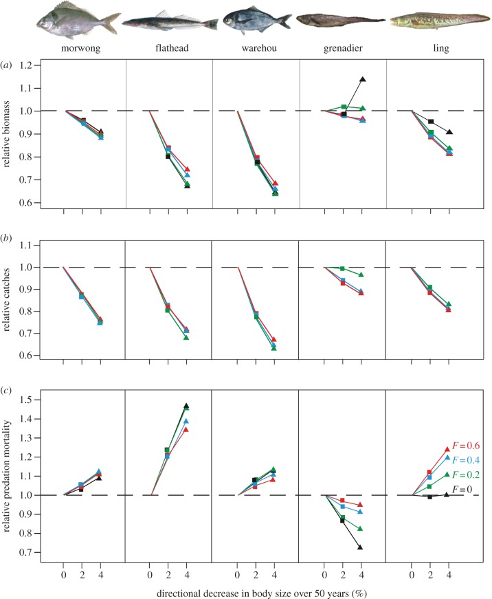 Figure 1.