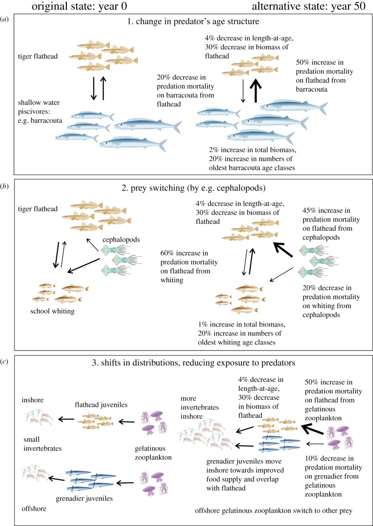 Figure 2.