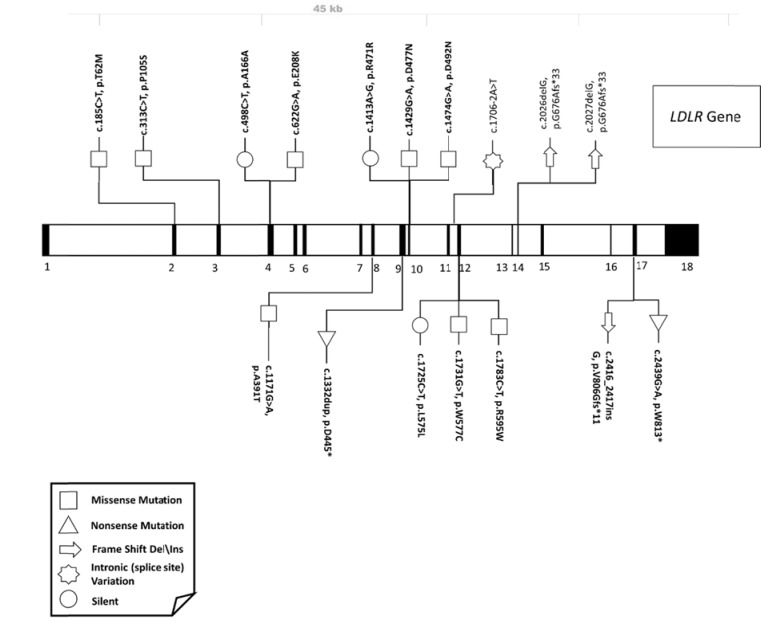 Fig. (2)