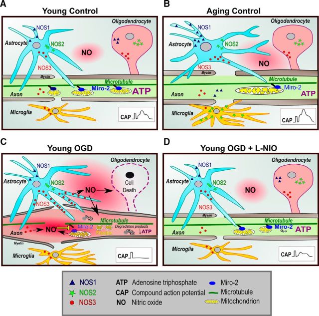 Figure 10.