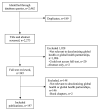PRISMA Diagram of Included Articles on Decolonizing Global Health and Partnerships Between Low- and Middle-Income Countries and High-Income Countries