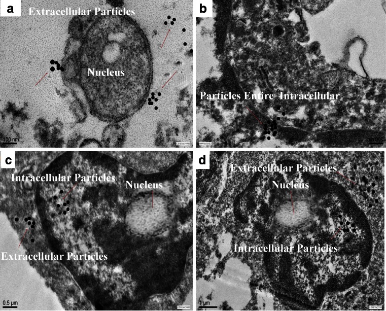 Fig. 9