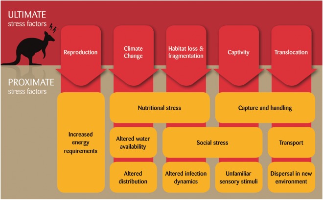 Figure 2: