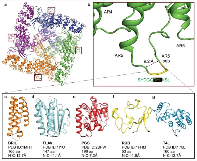 Figure 6.