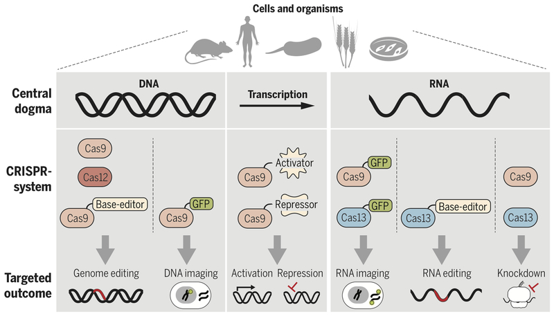 Figure 2 -