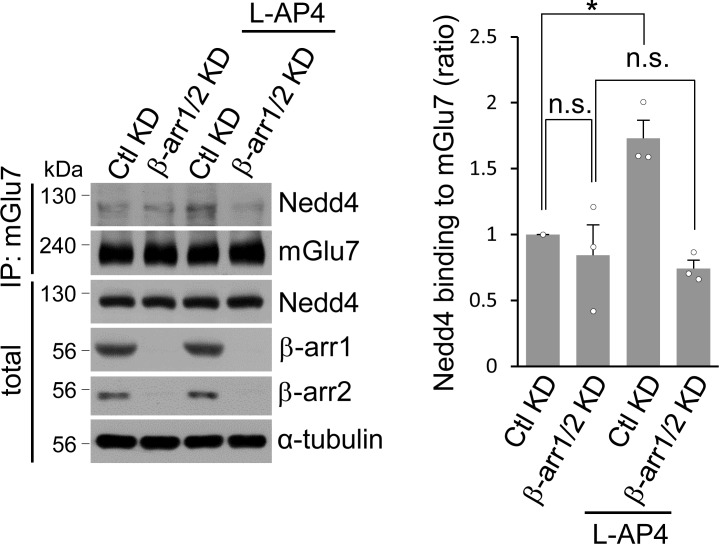 Figure 3—figure supplement 3.