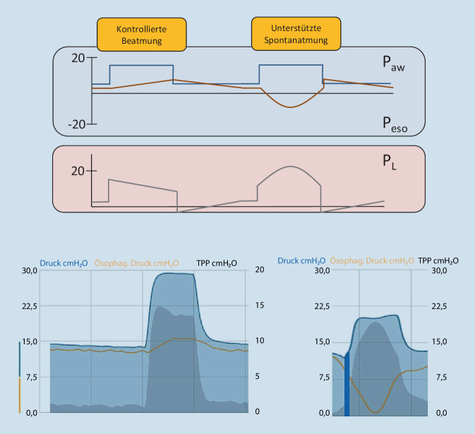graphic file with name 63_2021_823_Fig2_HTML.jpg