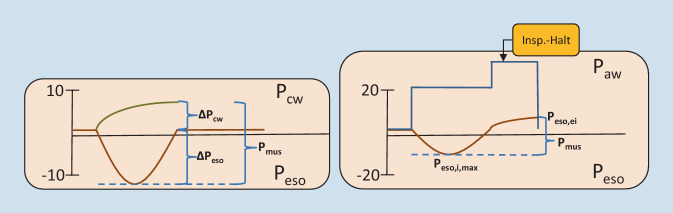 graphic file with name 63_2021_823_Fig9_HTML.jpg
