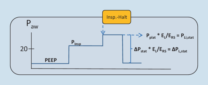 graphic file with name 63_2021_823_Fig8_HTML.jpg