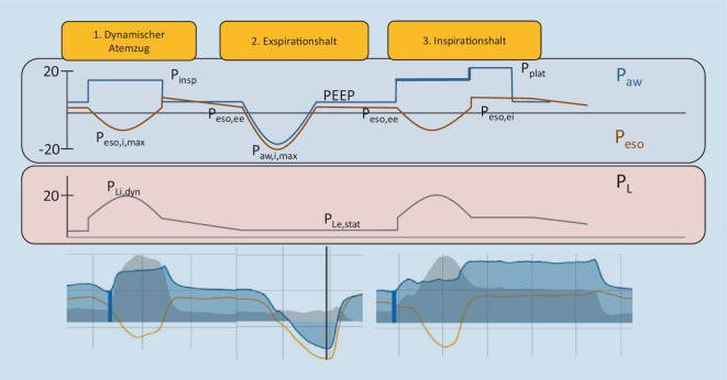 graphic file with name 63_2021_823_Fig7_HTML.jpg