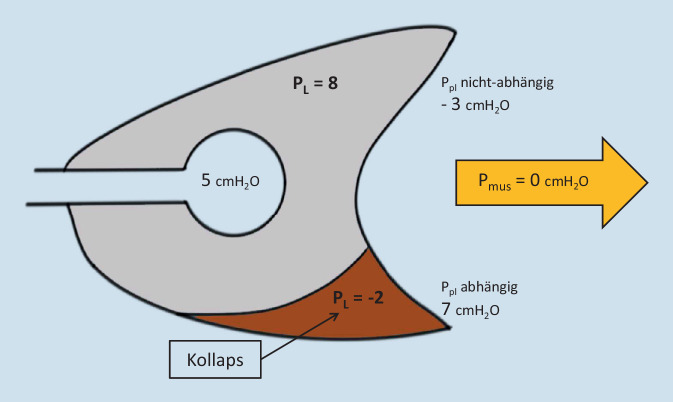 graphic file with name 63_2021_823_Fig1_HTML.jpg