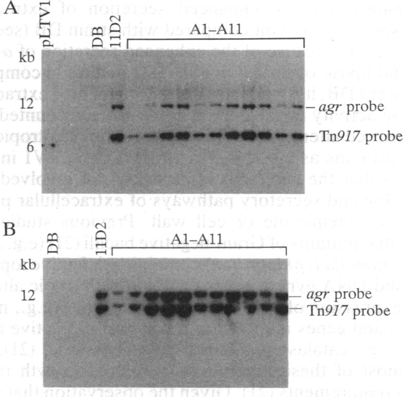 graphic file with name pnas01088-0248-a.jpg