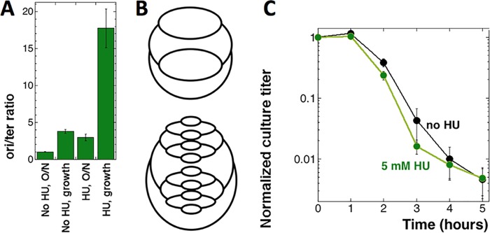 FIG 2