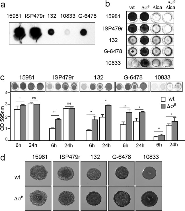 FIG 1