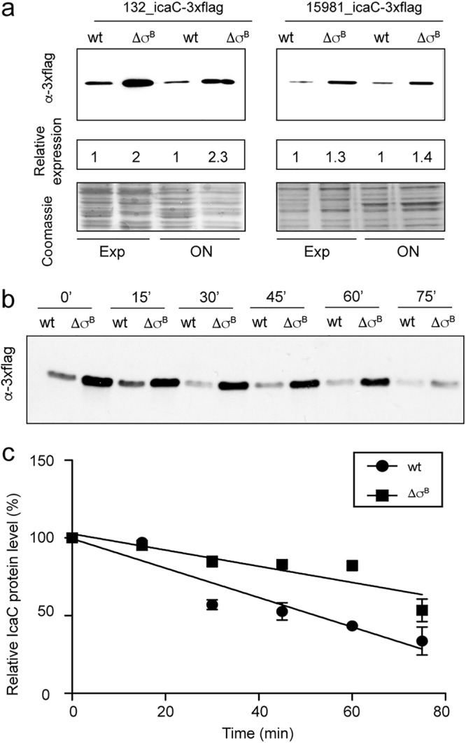 FIG 6