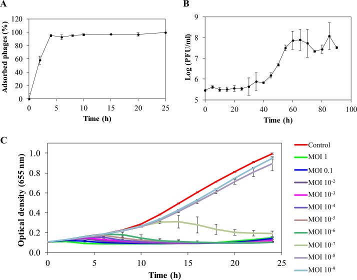 FIG 1