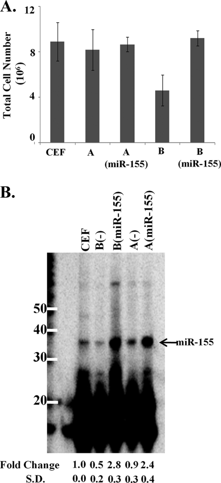 FIG. 7.