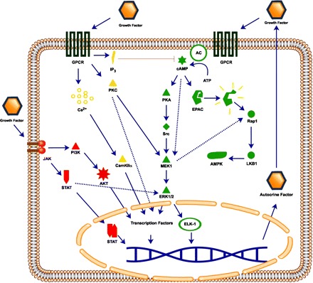 Fig. 1.