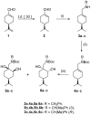 Scheme 1