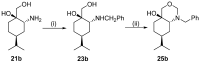 Scheme 8