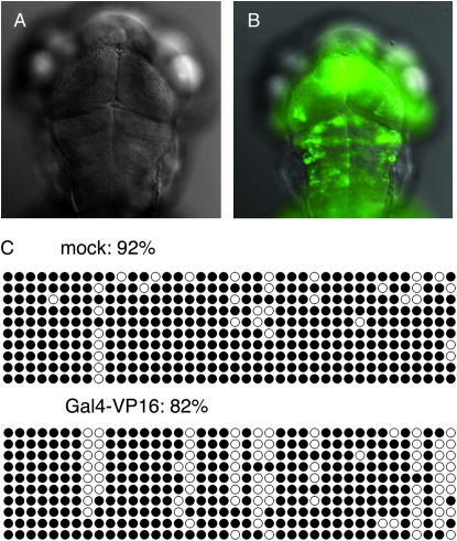 Figure 3.—