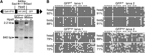 Figure 2.—