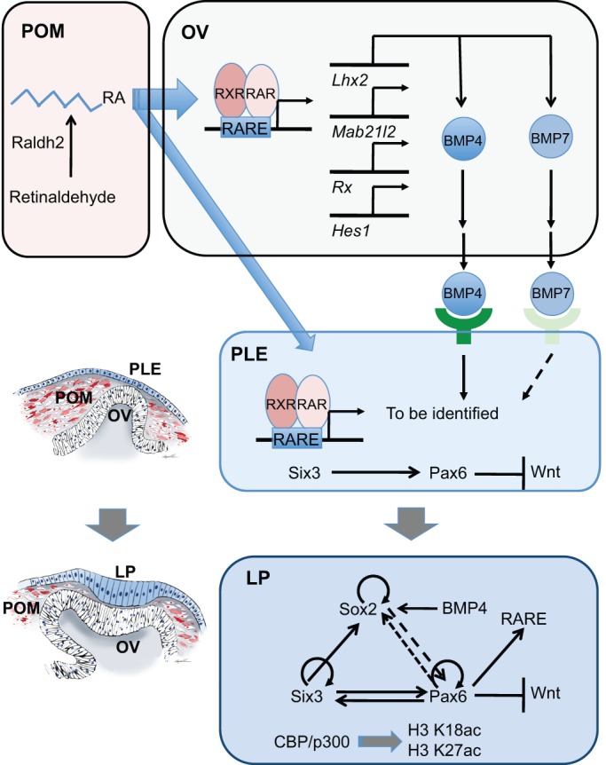 Fig. 4.