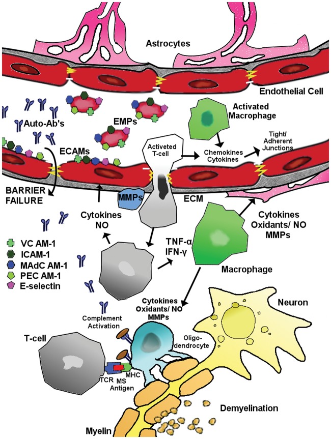 Figure 6.