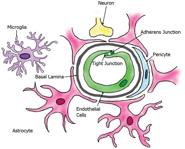 Figure 1.