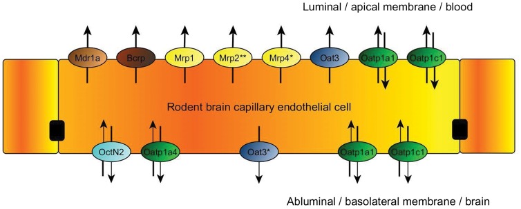 Figure 3.