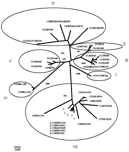 FIG. 1.