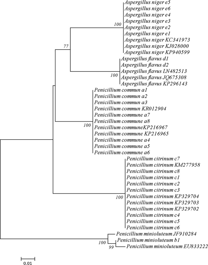 Figure 5