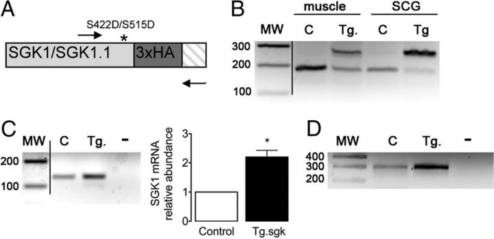 Figure 6.