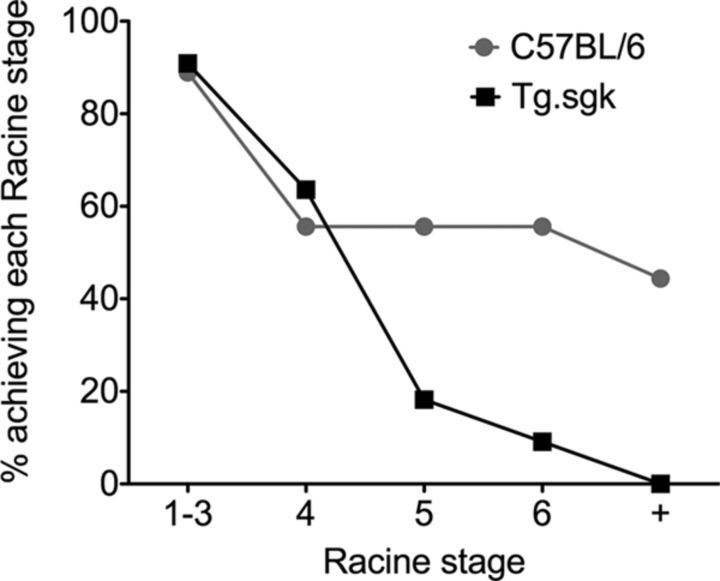 Figure 11.