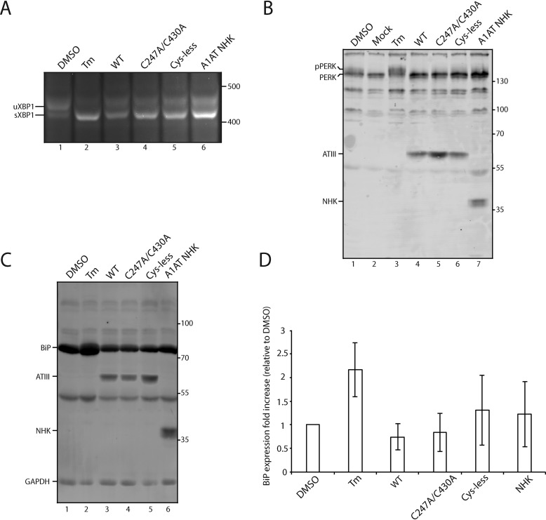 Figure 7.