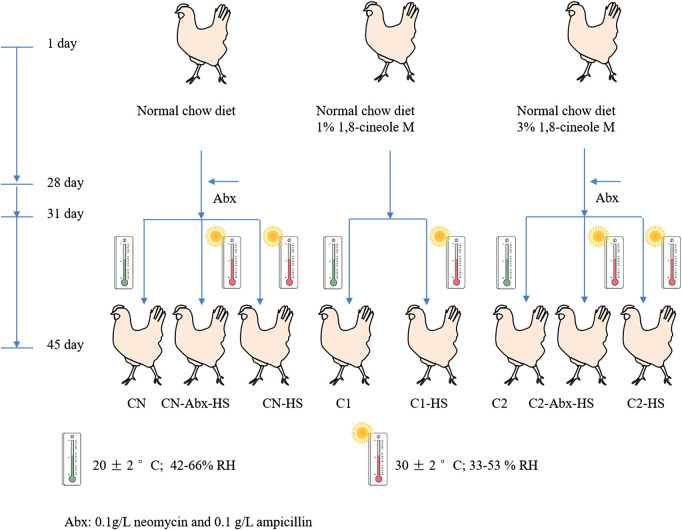 FIGURE 1