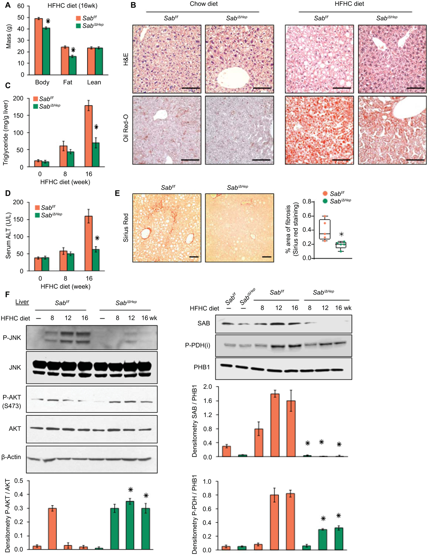 Fig.2.