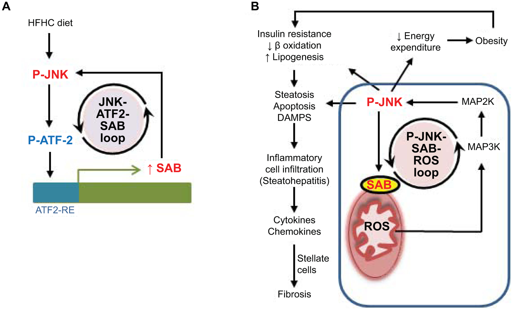 Fig.7.