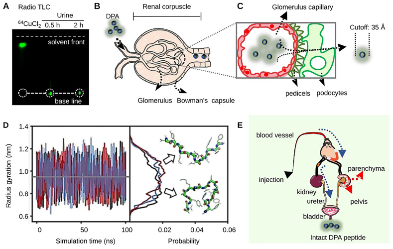 Figure 2