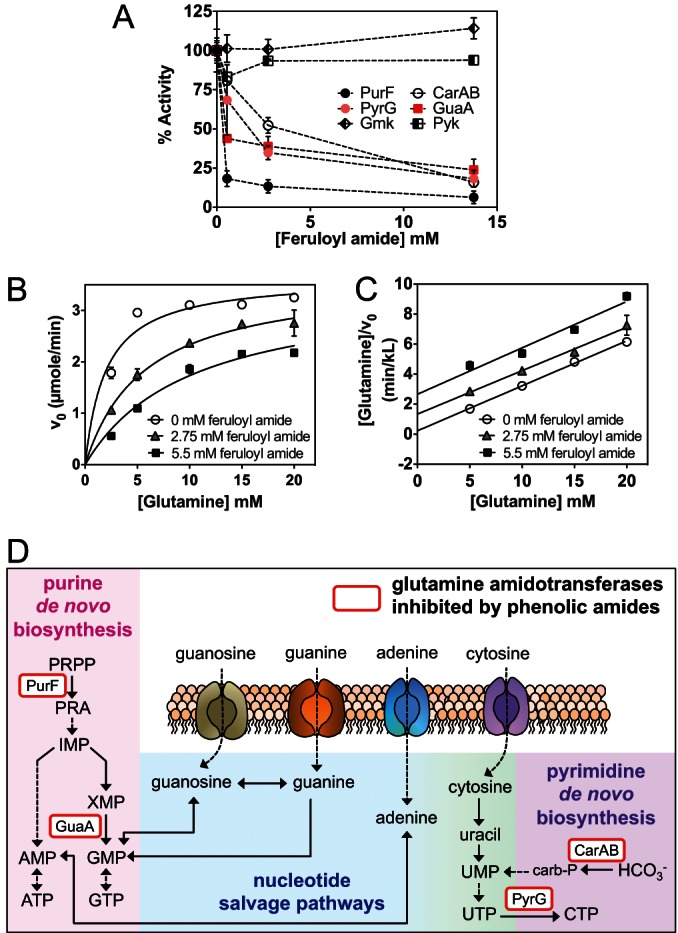 FIG 6