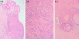 Figure 5: