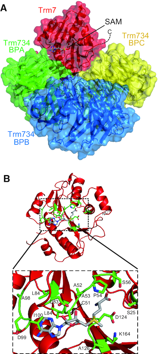 Figure 4.