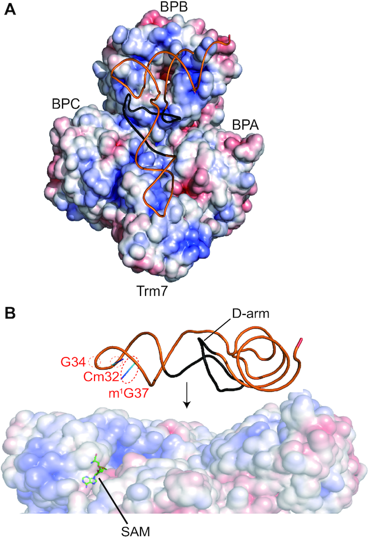 Figure 6.