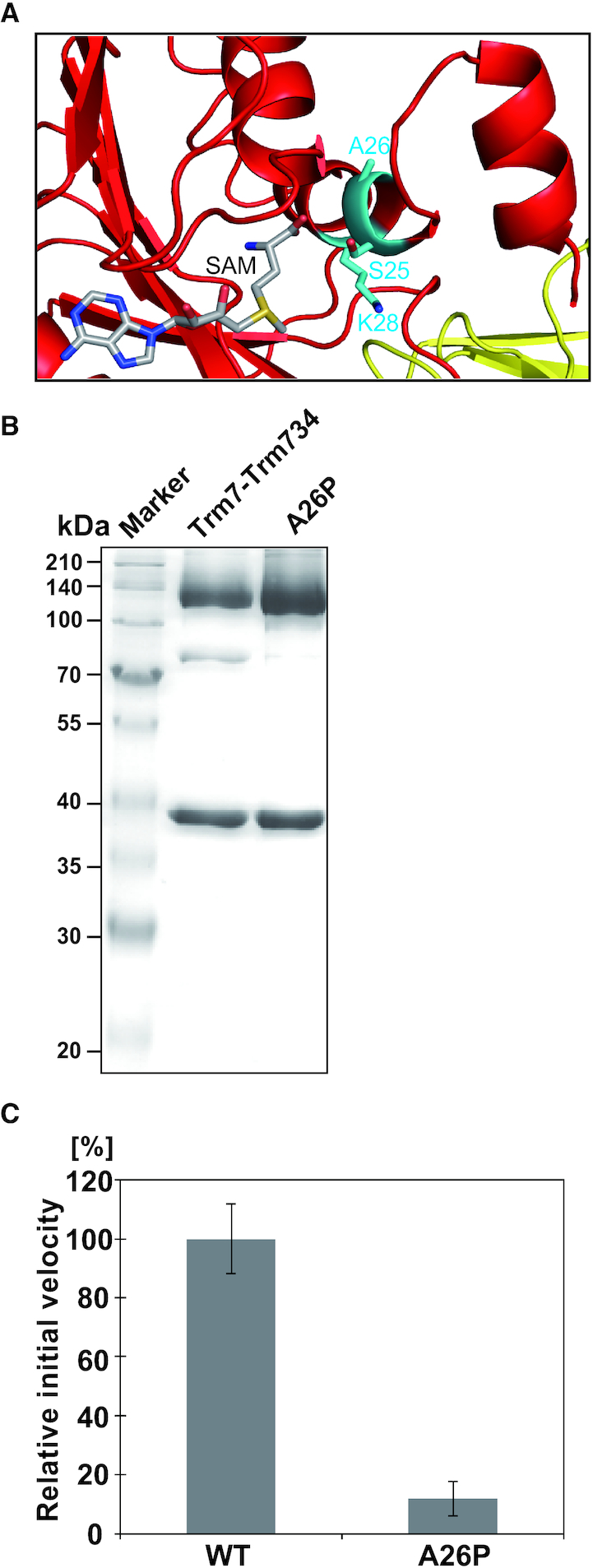 Figure 7.