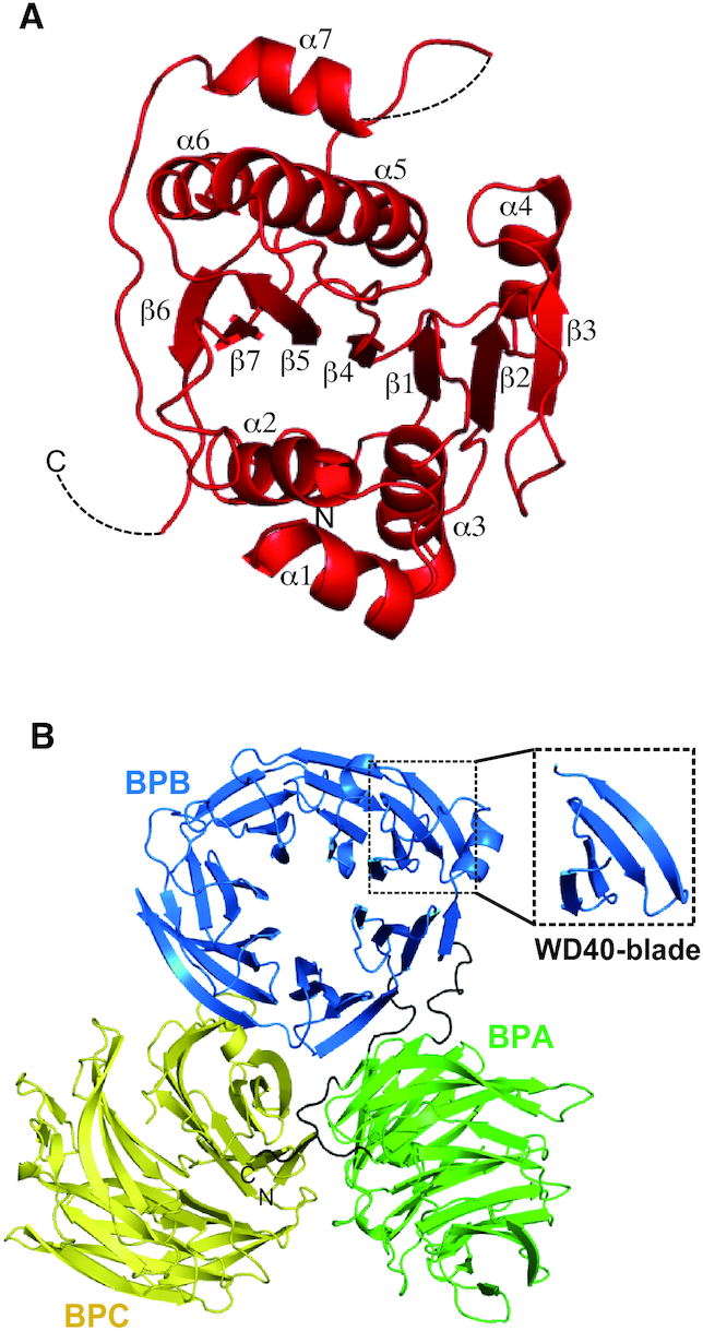 Figure 3.