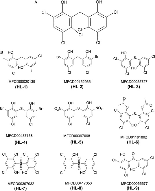 Fig. 4